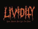 Used, Abused and Left For Dead (Vinyl)