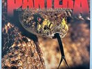 Pantera 