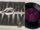 The Human Instinct BLACK SALLY/TOMORROW * Stoned Guitar 45 RARE NZ 1971 VG+ PYE