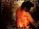 Bruce Springsteen - Ghost Of Tom Joad (Vinyl LP - 1995 - EU - Reissue)