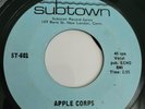 45 APPLE CORPS Subtown 601 You'll Never Know/Don't Leave Me GARAGE ROCK VG++ Mp3