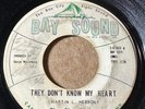 THE BLEU LIGHTS Bay Sound 67003 THEY DON'T KNOW MY HEART / FOREVER VG-/VG LISTEN
