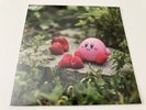 Kirby Dream Land Lofi Fan Project Vinyl Record 10” Not Moonshake VGM OST Game