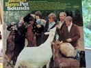 (#55).The Beach Boys Pet Sounds Vinyl LP Capitol Records T 2458 Vintage Original