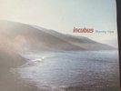 Incubus Morning View Vinyl 2LP 2001 Press Original