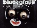 Black Grape - Stupid Stupid Stupid (LP) (Very Good Plus (VG+)) - 3822192212
