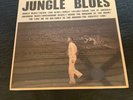 C. W. STONEKING.   JUNGLE BLUES