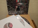 A Day To Remember: Homesick LP D2C Exclusive #2 (Clear, Red,Blue) + Bonus LPs