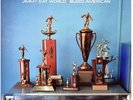 Jimmy Eat World - Bleed American