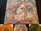BARONESS Gold & Grey LP Tour Vinyl Signed + Print-Weedeater Graveyard The Sword