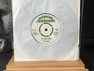 The Chants I've Been Trying Chipping Norton 1976 UK 45 7