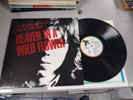 Nick Drake Heaven In A Wild Flower An Exploration of Nick Drake Vinyl LP