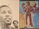 2x Toots & The Maytals Vinyl Record Album LP LOT- Funky Kingston +In The Dark VG