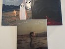 Phoebe Bridgers - Stranger in the Alps, Copycat Killer, & Punisher Vinyl Bundle