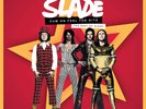 Slade Cum On Feel the Hitz: The Best of Slade (Vinyl) (US IMPORT)