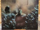 Steely Dan, Katy Lied, 1980 MCA, MCA-37043, Gatefold, VG+/VG+
