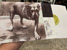 ALICE IN CHAINS Self Titled/Tripod 2LP NM/NM Vinyl EU Import