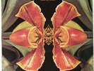 Hubert Laws - Land Of Passion, LP, (Vinyl)