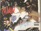 NWA Efil4zaggin LP Eazy-E Dr. Dre Vinyl Rap US Ruthless Records (New Other)