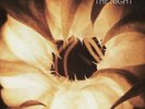 The Night Orange Vinyl 45 RPM 180 G, Morphine, Very Good