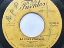 ANDRES LANDERO Y SU CONJUNTO  LA PAVA CONGONA CUMBIA
