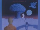 CHAMELEONS - Arctic Moon - Vinyl (LP)