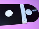 BRANDUARDI LP LA PULCE D'ACQUA TEST PRESSING ORIGINALE 1978 EX+ TOOOP RARE