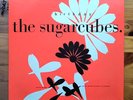 THE SUGARCUBES / BIRTHDAY / One Little Indian 12 tp 7 / 1987 12