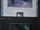 2 X Sandra Schalplatten 