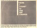 RIP CHORDS--PROMO ONLY PICTURE SLEEVE + 45--(HERE I STAND)--PS--PIC--SLV