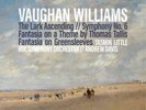 Ralph Vaughan W Vaughan Williams: The Lark Ascending/Symphony No. 6/Fant (Vinyl)