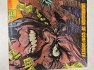 Corrosion Of Conformity - Animosity LP - EX Condition A+ Vinyl - Punk Hardcore