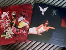 PINK PANTHERESS 2-LP Bundle HEAVEN KNOWS + FANCY THAT - Vinyl NEW Sealed