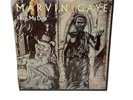 Marvin Gaye Here, My Dear 1978 Motown Tamla Double LP Album Sealed Vinyl Record