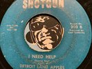 DETROIT LAND APPLES / ROBBIE Northern Soul 45 I Need Help b/w Precious Memories