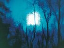 FLYING SAUCER ATTACK FURTHER NEW LP