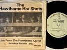 BEACH BOYS Hawthorne Hot Shots 2 discs & Pic sleeve 25 of 500 made BRIAN WILSON