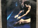Siouxsie & The Banshees The Scream Vinyl LP 1978 Post Punk Record Album Stereo
