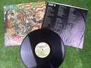 1986 Agnostic Front Cause For Alarm Vinyl LP Combat Core 2nd Variant Record VG+