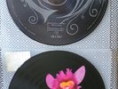Picture Disc Vinyl Opeth 