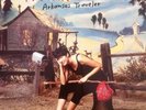 Michelle Shocked - Arkansas Traveler, LP, (Vinyl)