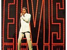 Elvis Presley - Elvis (TV Special) (VINYL)