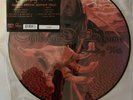 Something Wild [Limited Edition] [Picture Disc] by Children of Bodom 2009 LP