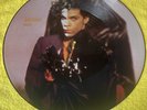 PRINCE PARTYMAN RARE LIMITED EDITION 12