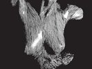 Oceansize - Self Preserved While The Bodies Float Up (15Th Anniversary) [3Lp] -