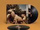 Interpol Our Love To Admire Double Vinyl LP [New & Sealed]