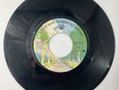 Fleetwood  Mac Vinyl 45 - Go Your Own Way/SILVER SPRINGS   Stevie Nicks