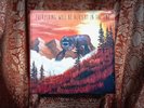 SEALED Everything Will Be Alright in the End Weezer vinyl blue green maladroit