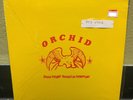 Orchid - Dance Tonight  Revolution Tomorrow  RARE 10” Red Vinyl Ebullition #46