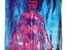 Nirvana Sliver 1990 7